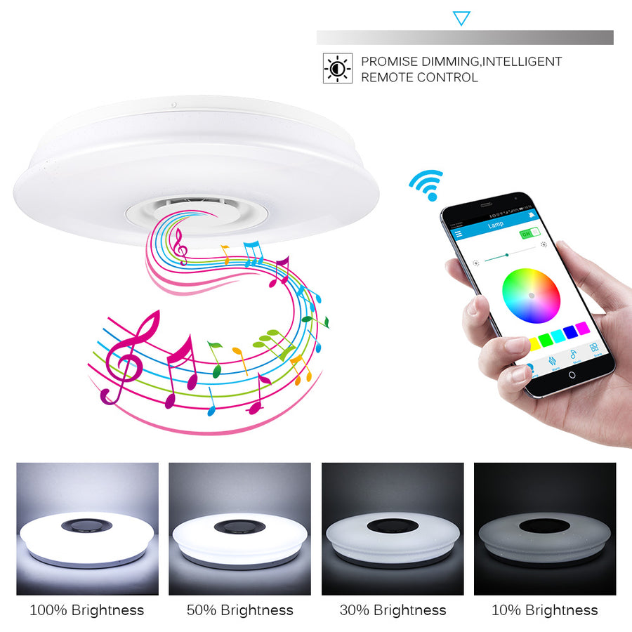 Smart Music LED ceiling Lights RGB Dimmable